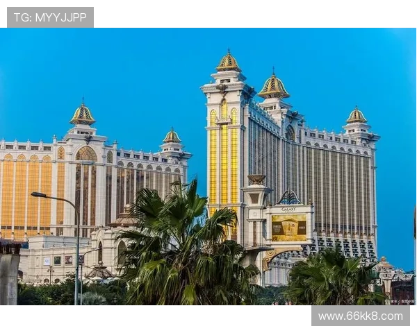 探索澳门官方游戏的魅力与乐趣 探索澳门官方游戏的魅力与乐趣